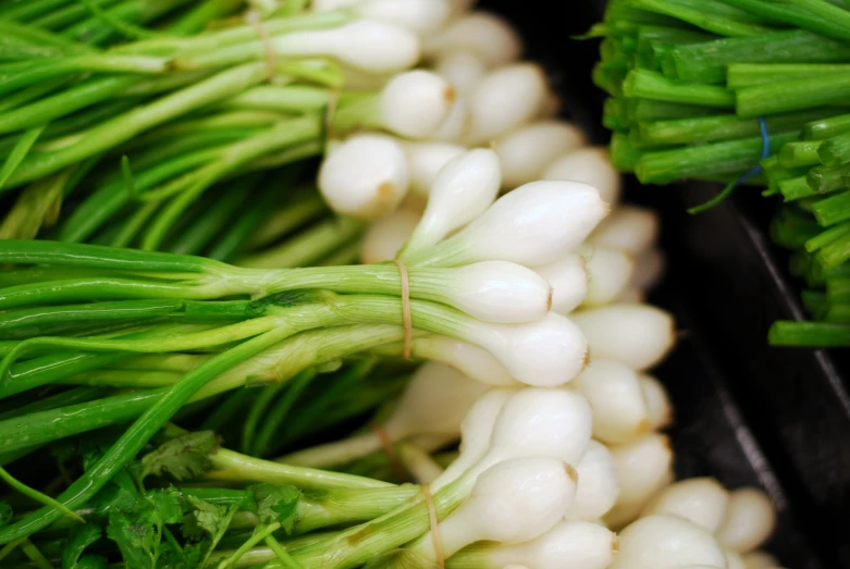 an array of bean and other vegetables are displayed for sale