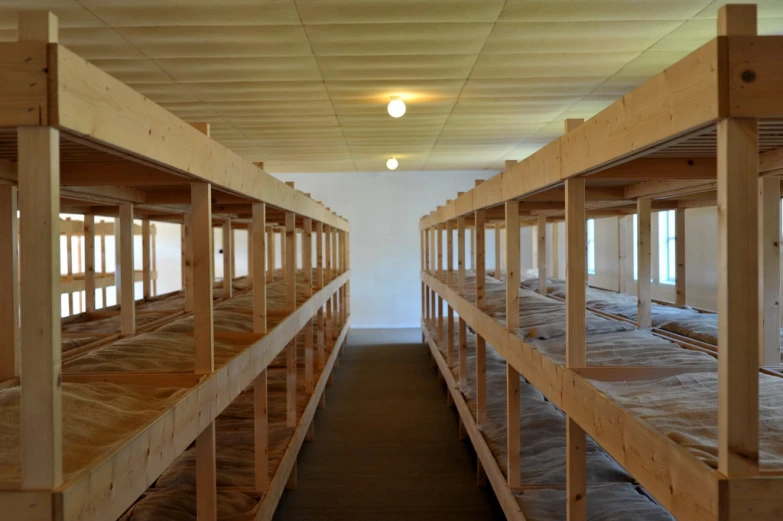 a long line of bunk beds in a room