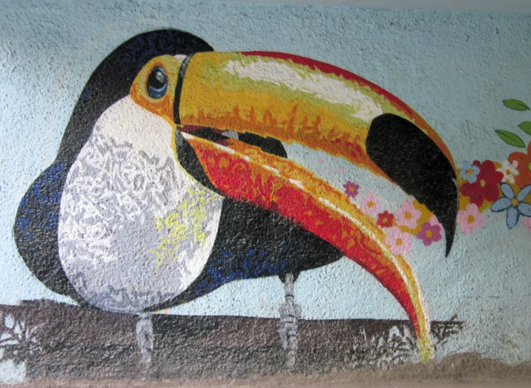 colorful image of toucan on a blue and white wall