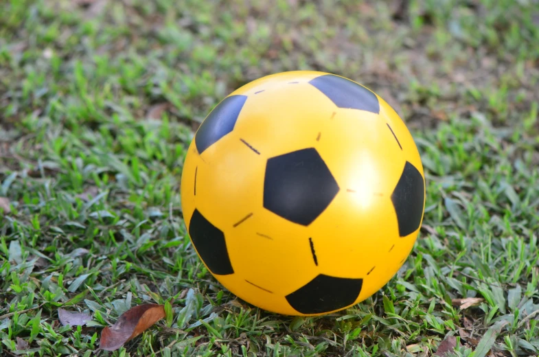 a soccer ball on grass with grass and leaves