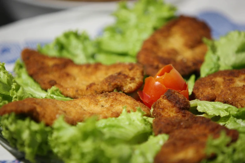 lettuce, tomato and sauce are piled together