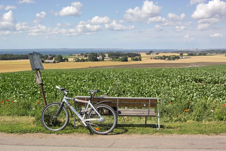 a bike sitting near a bench in a corn field