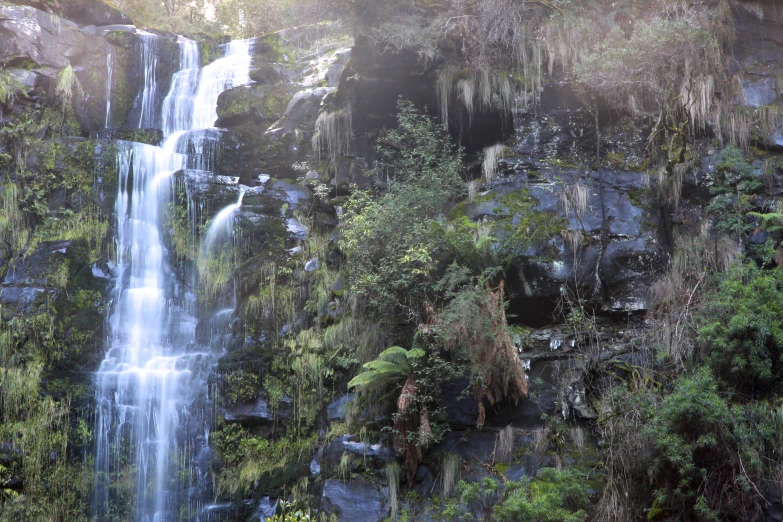 a group of zes walk through the wilderness beside a waterfall