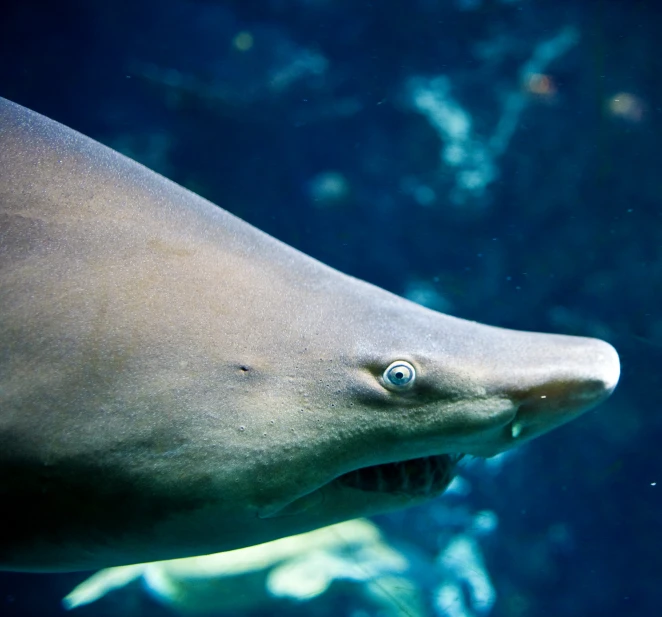 a picture taken through a glass showing a face