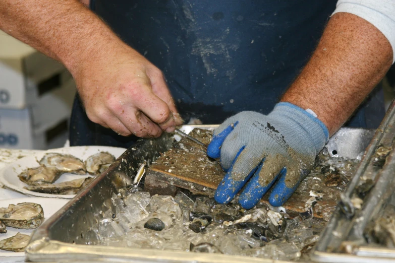 a man in blue gloves and blue gloves sanding down oysters