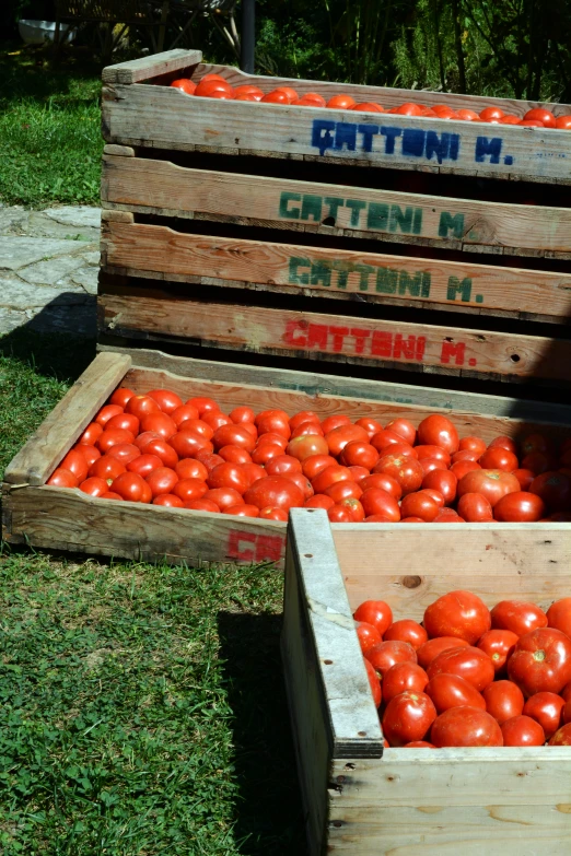 large wooden crates with fresh tomatoes and another box