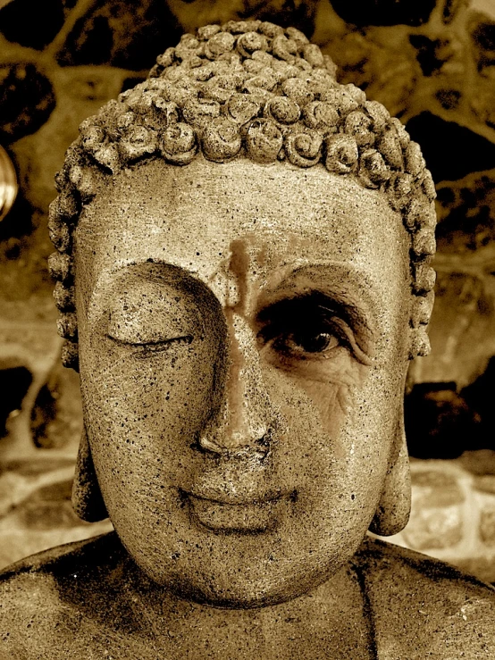 the head of a statue is shown in sepia