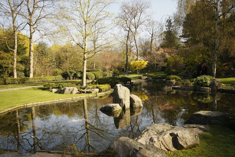 a pond with lots of water surrounded by trees