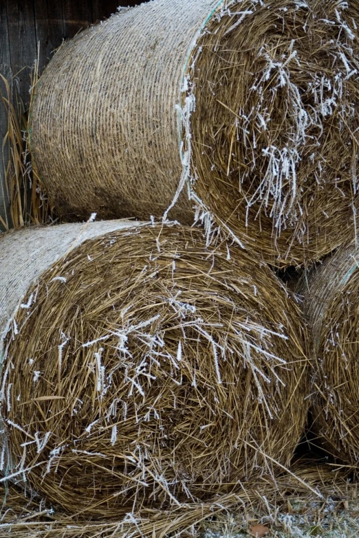 there is a pile of hay that has snow on it