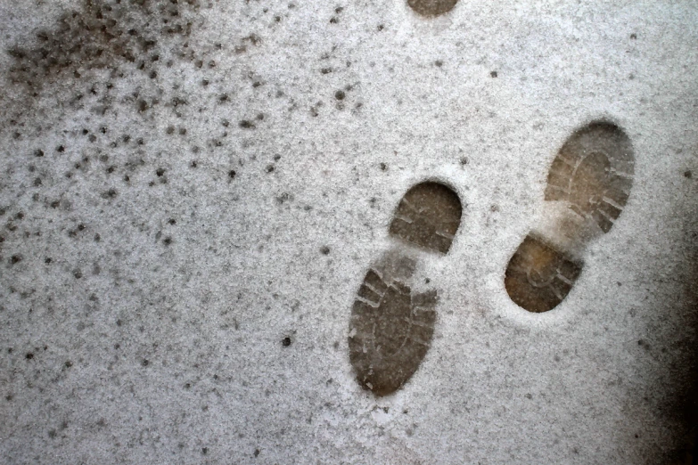 a couple of footprints are in the sand on the beach