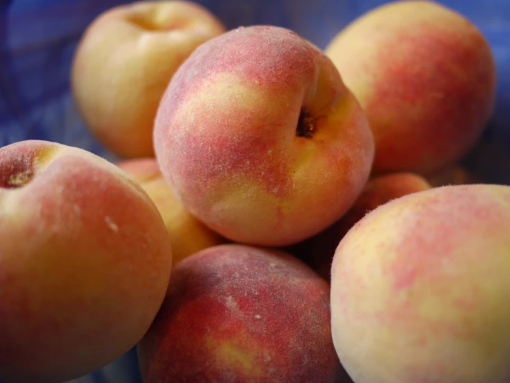 a group of peaches in a blue bowl