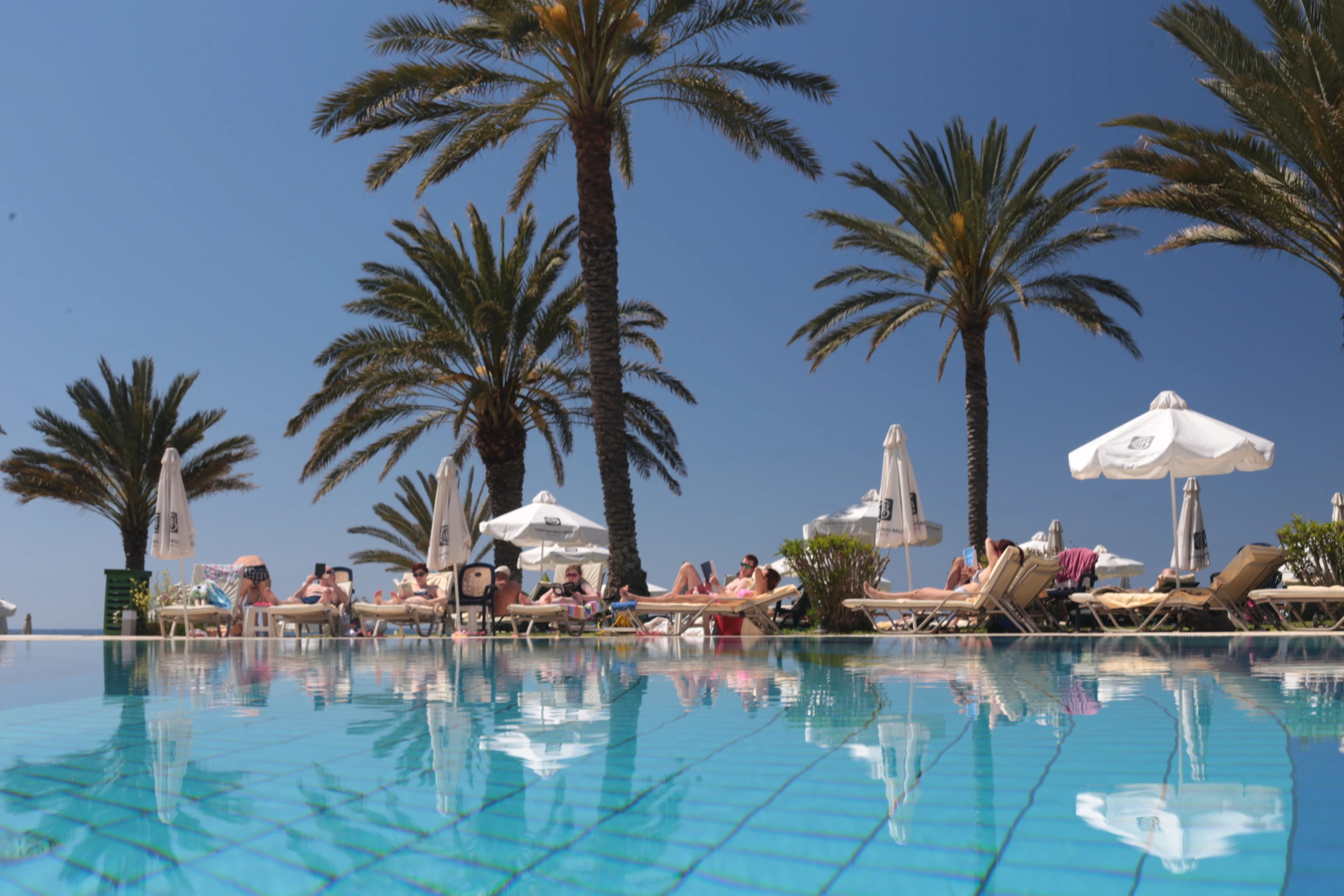 a group of people lounging at the edge of a swimming pool surrounded by palm trees