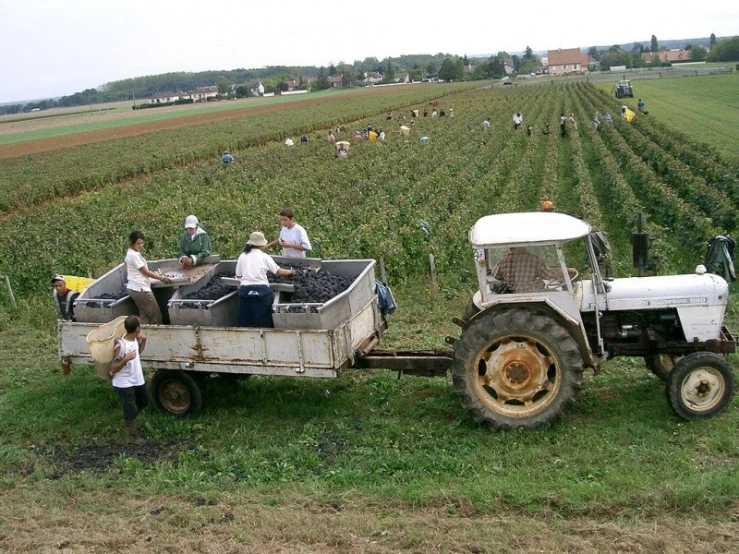 an old tractor pulling three people down a farm field