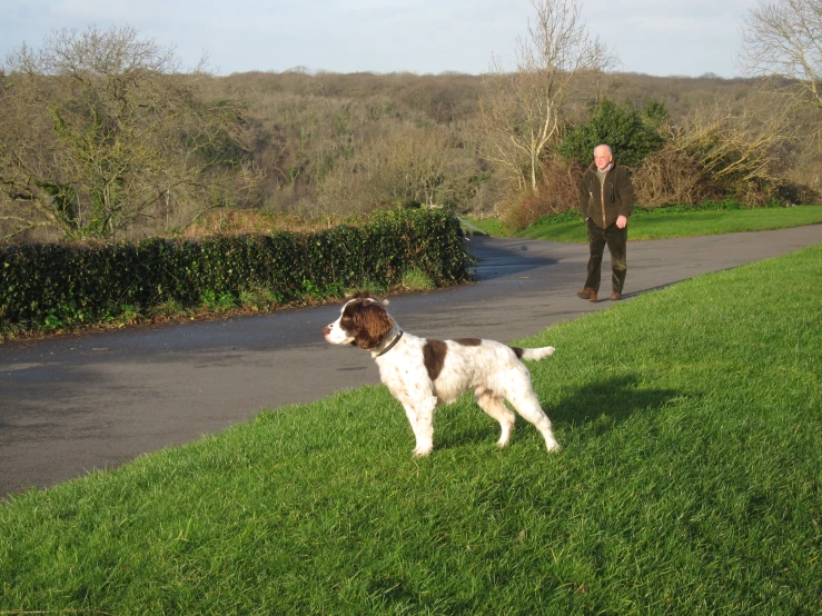 a person that is standing in the grass