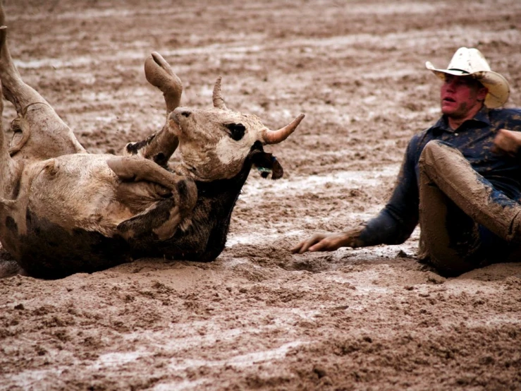 a man is laying on the ground and has his foot up on the head of a steer in mud