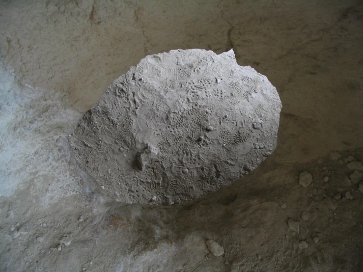 the cement is white and gray in color