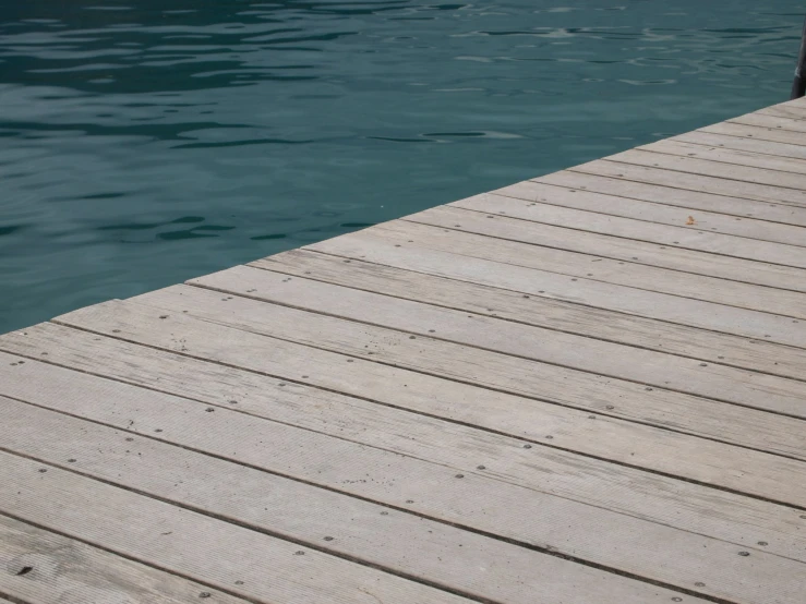 a bird sitting on the side of a boat dock