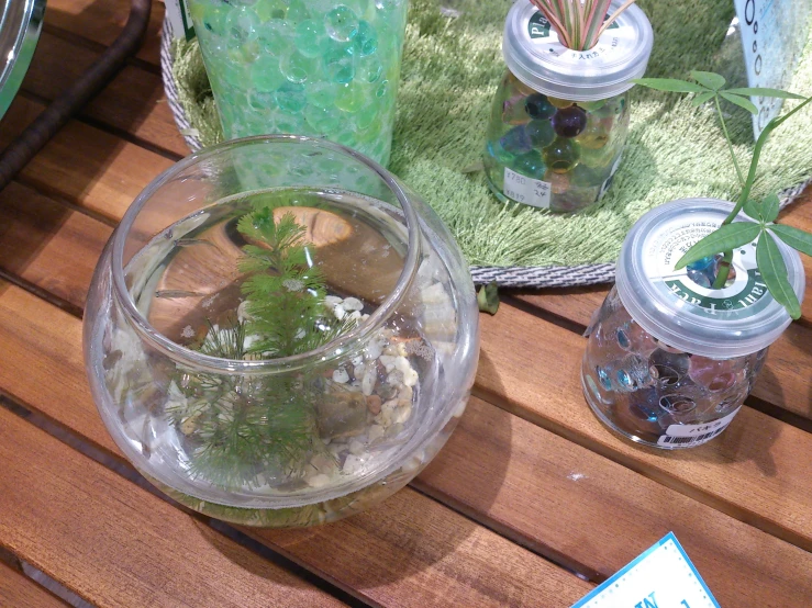 a glass vase filled with plants and rocks