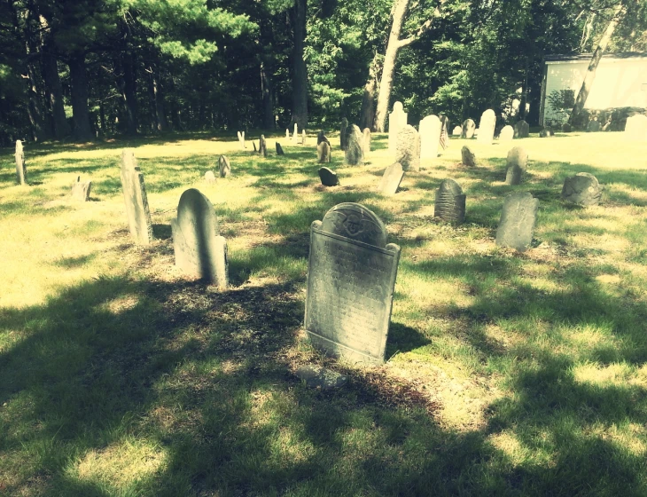 a cemetery with many headstones and some trees