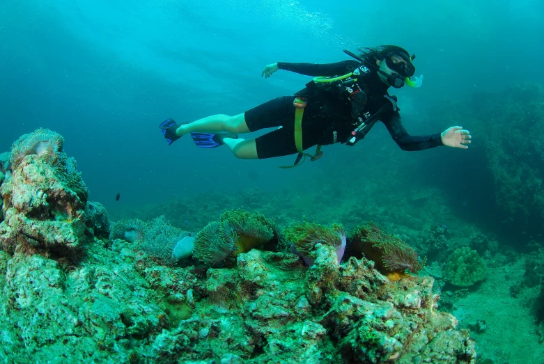 a scuba diver swims over a coral reef