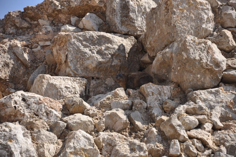 rocks are piled on top of each other in the rocky terrain