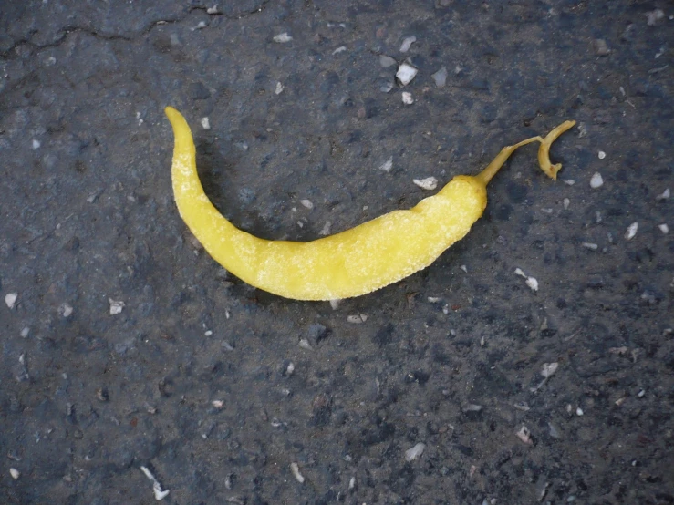 a very tiny banana sitting on the ground