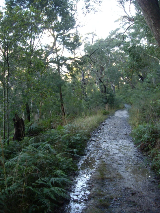 the dirt road is made of stones and mud