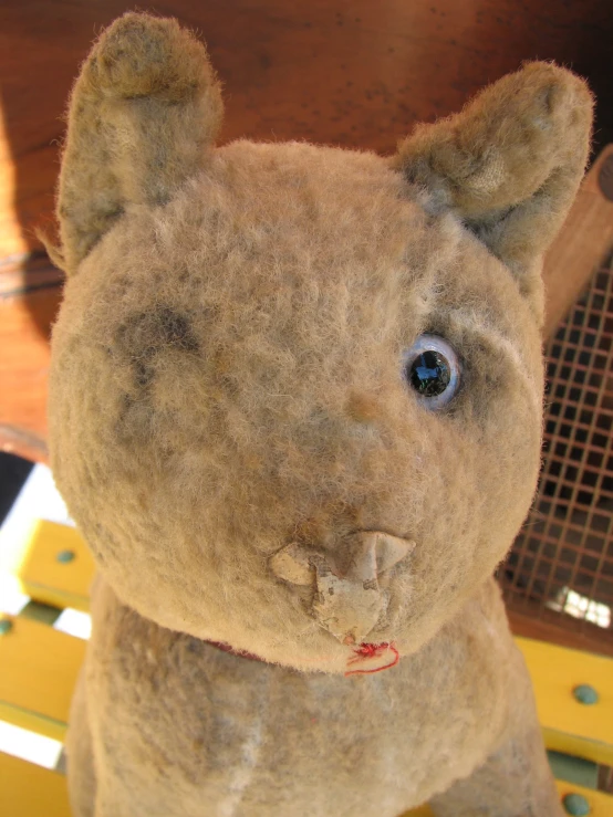 a stuffed animal sits on a bench looking into the camera