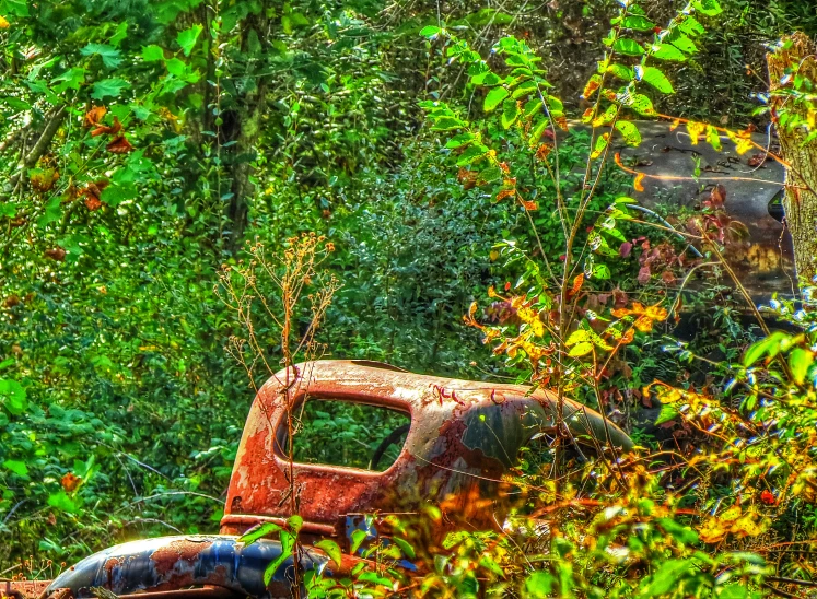 an old rusted truck and vehicle in a forest with trees