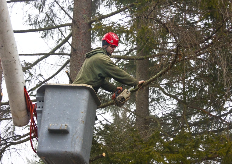 a man in a red helmet working on trees