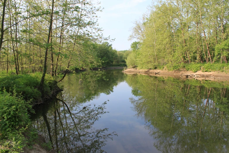 the reflection of the trees in the water is beautifully vivid