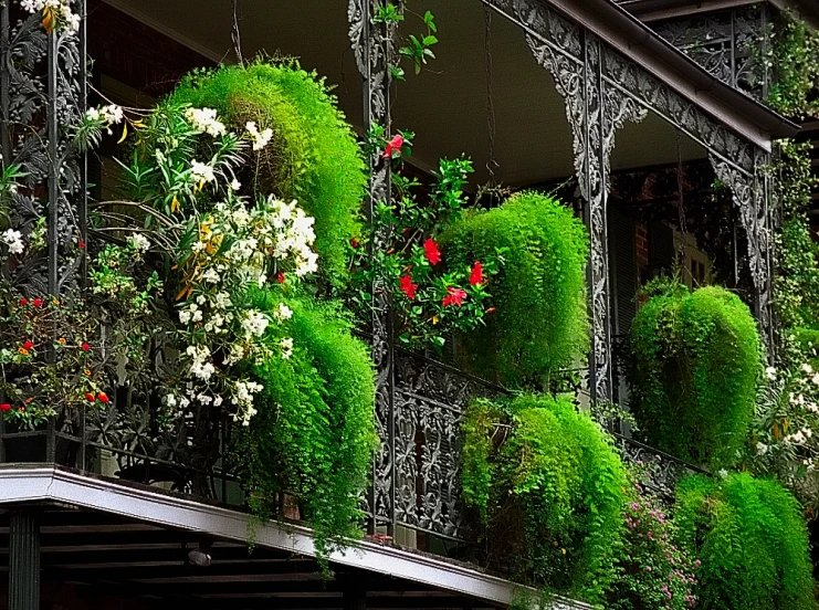 green plants on the balconies are hanging from the ceiling