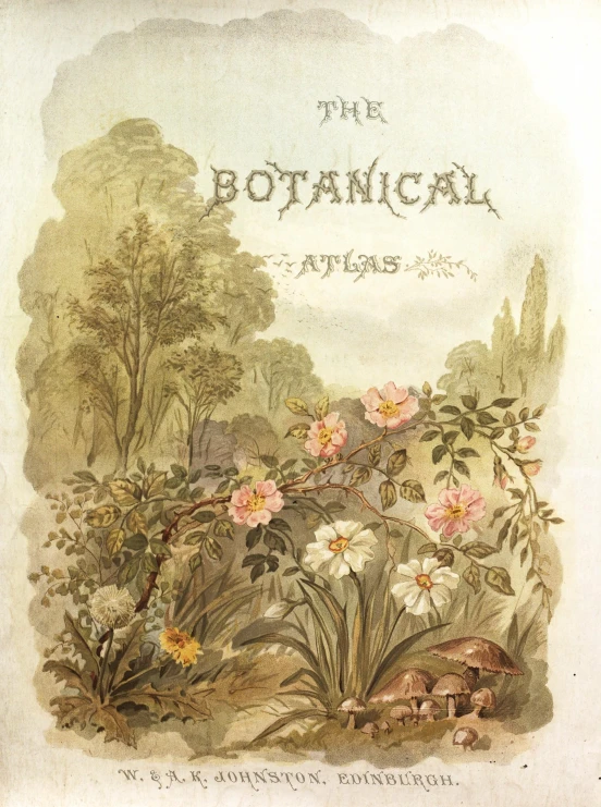 an old book with flowers in the foreground