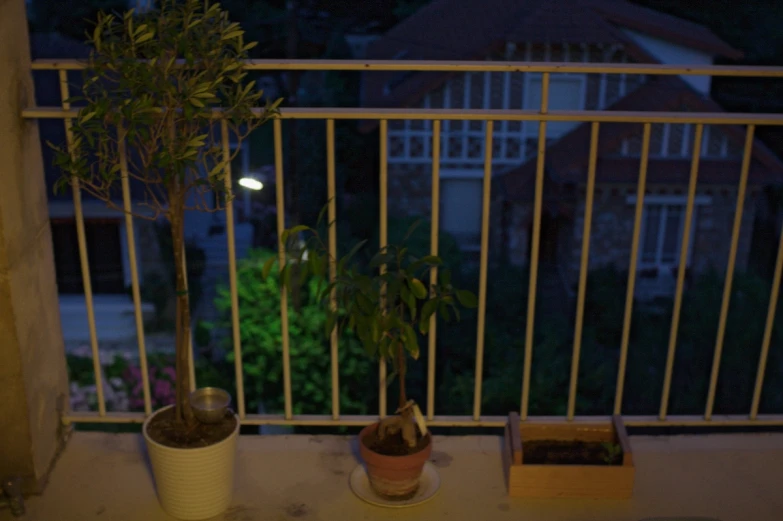 the house tree was placed in front of the railing