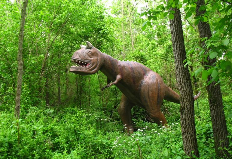 an adult sterat dinosaur with mouth open standing in the forest