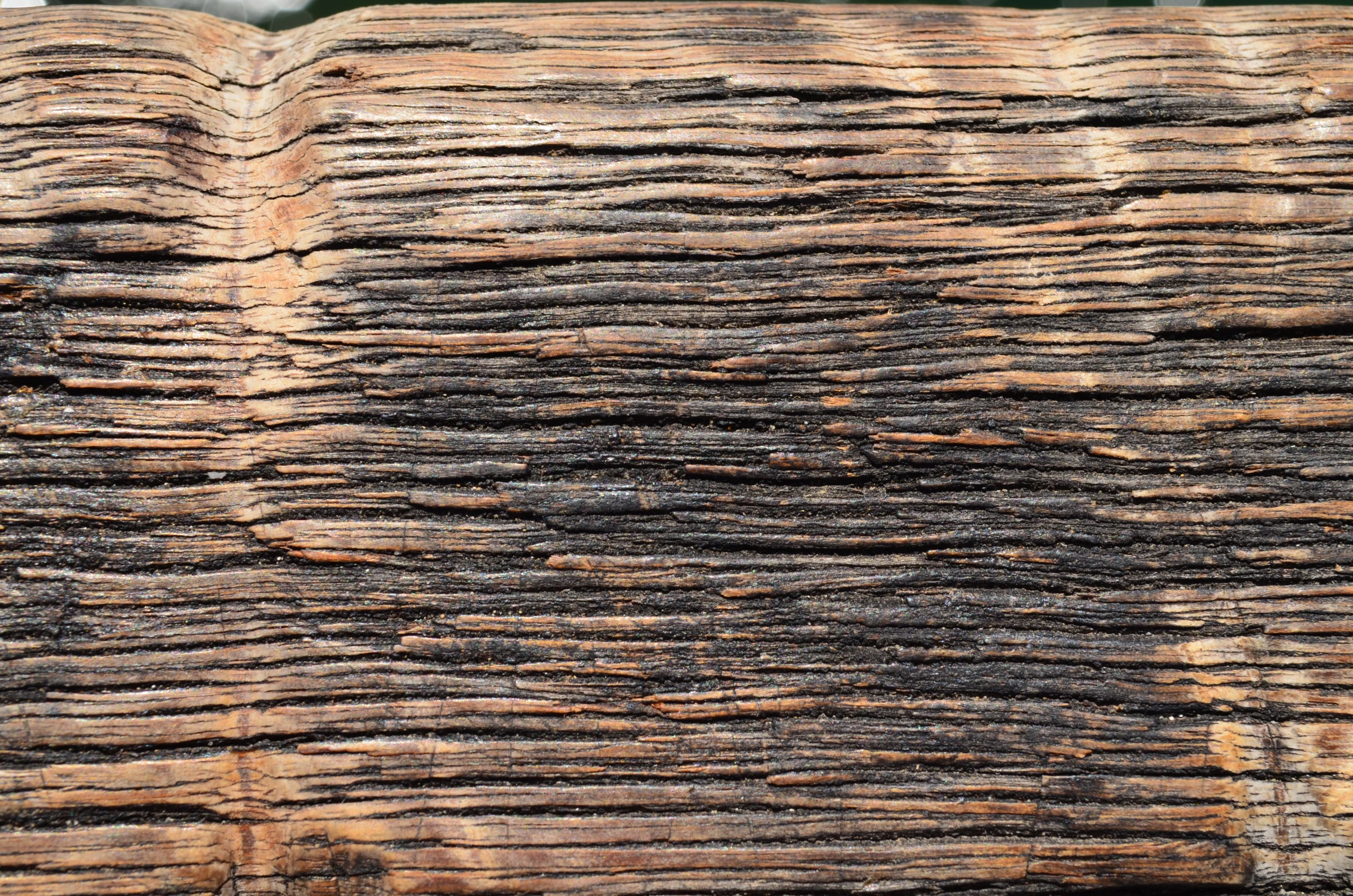 a closeup of a piece of wood that is chipping