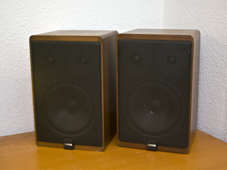 two brown speaker speakers sitting on top of a wooden table
