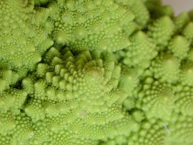 an extreme closeup image of some broccoli florets