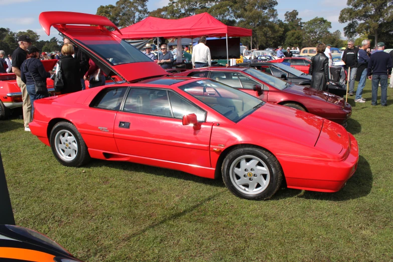 many cars are lined up in the grass