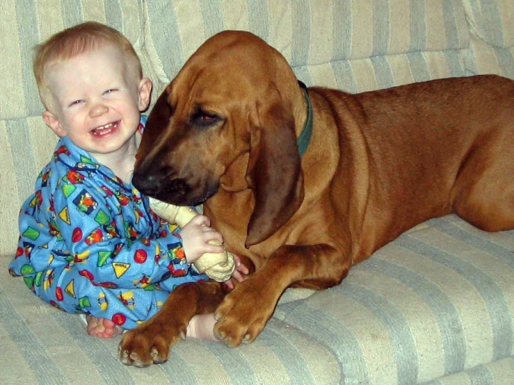 a baby and a dog that is lying down