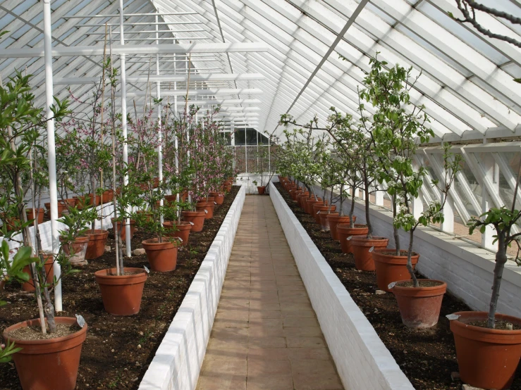 an indoor greenhouse filled with lots of pots