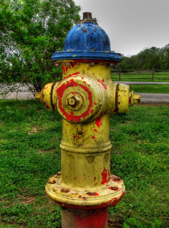 a yellow and blue fire hydrant in grass