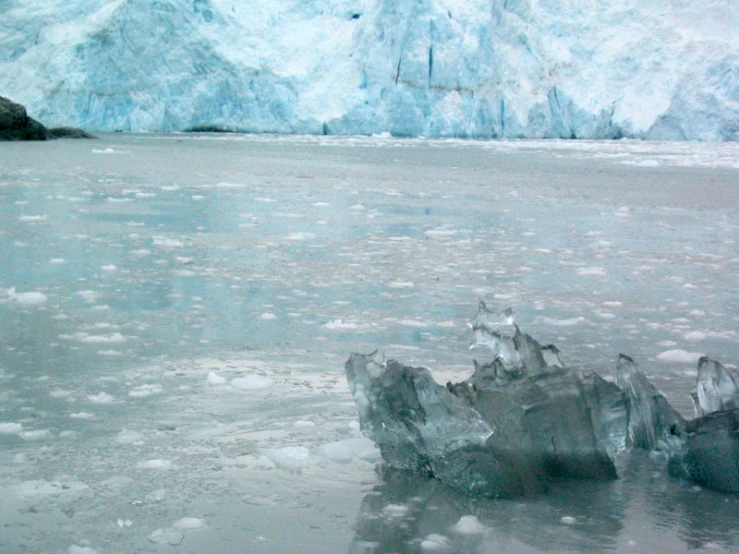 ice crystals floating on the water near a glacier