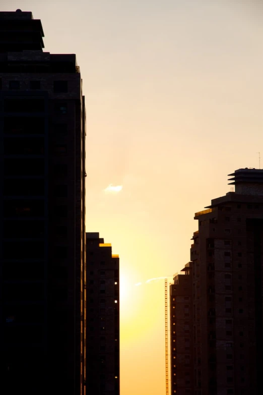 a city skyline at sunrise with a bird flying by