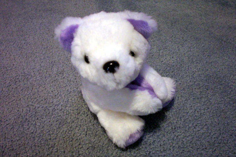 there is a white teddy bear that is laying on the carpet