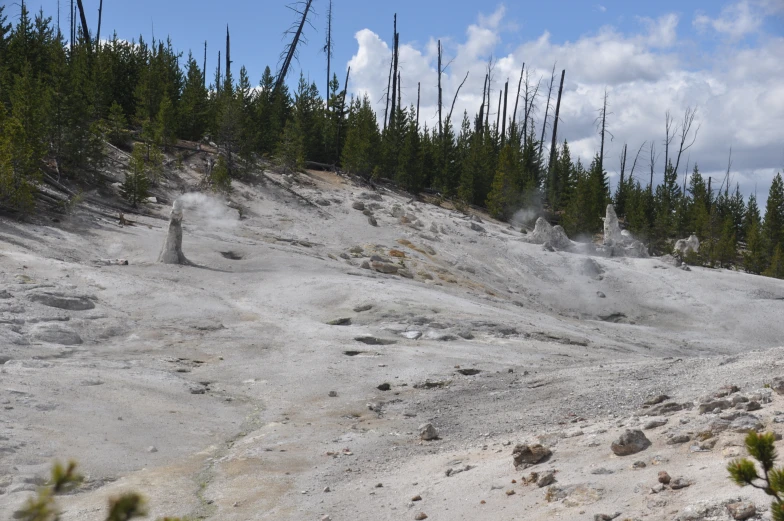 there is a very rocky area with trees around it