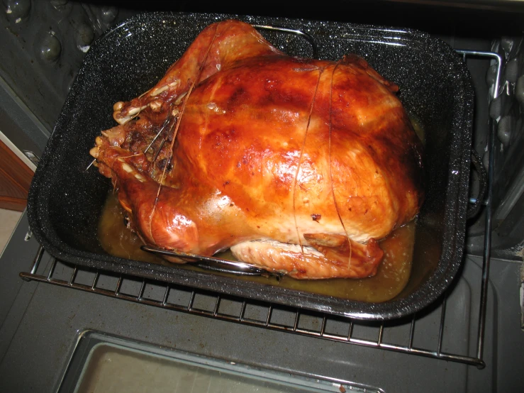 a chicken sitting inside of a black pan in an oven
