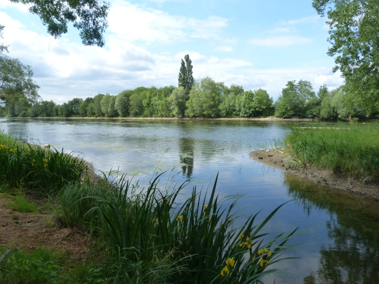 there is a beautiful river with green trees on the other side