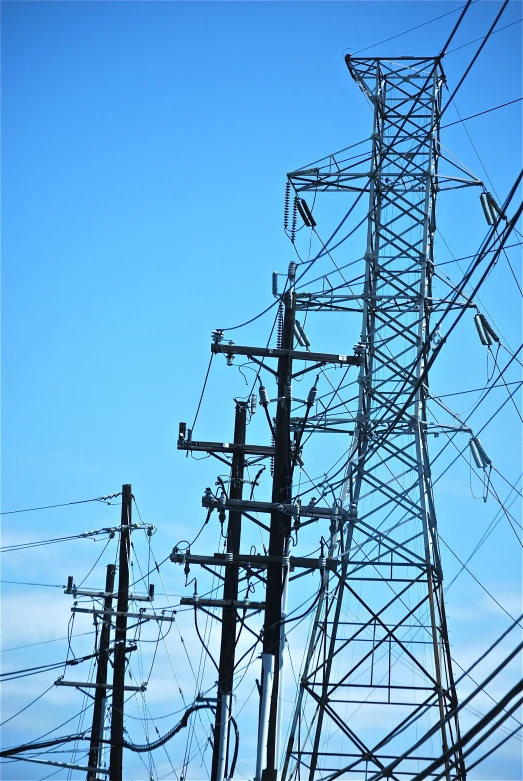 the top of many electrical wires and telephone poles