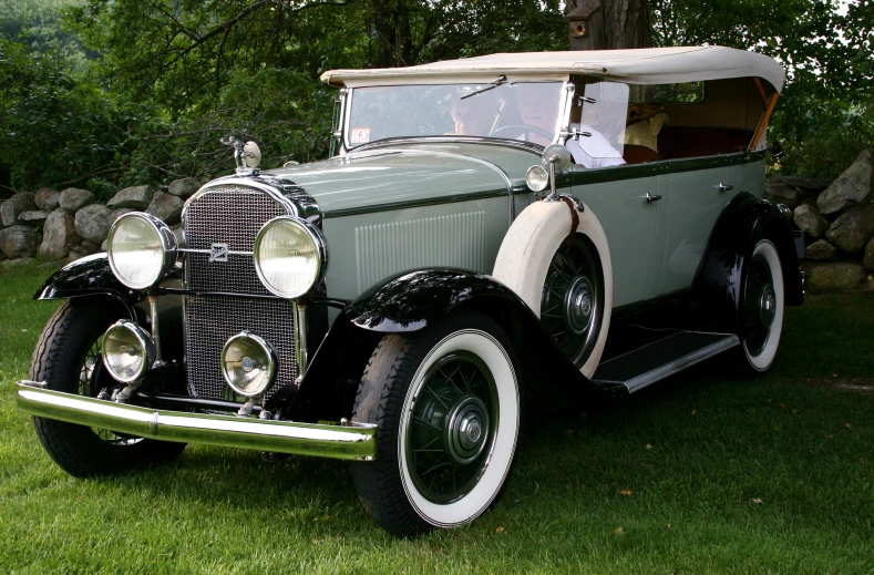 a classic car that is sitting in the grass